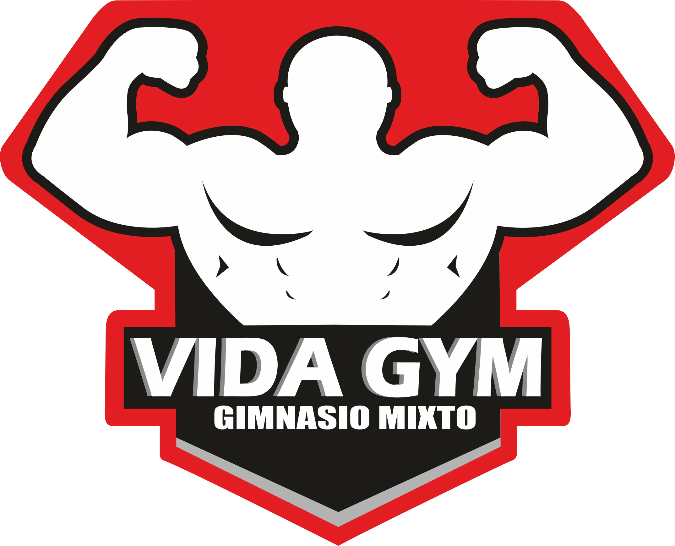 Vida GYM - Cliente de marketing digital
